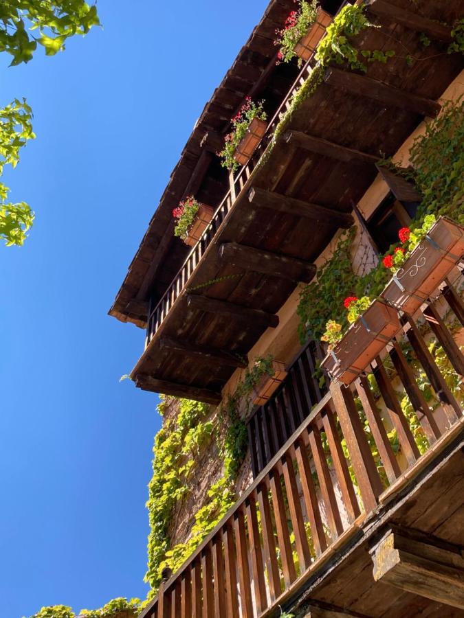 La Casa Del Bosque Villa Cabra de Mora Dış mekan fotoğraf